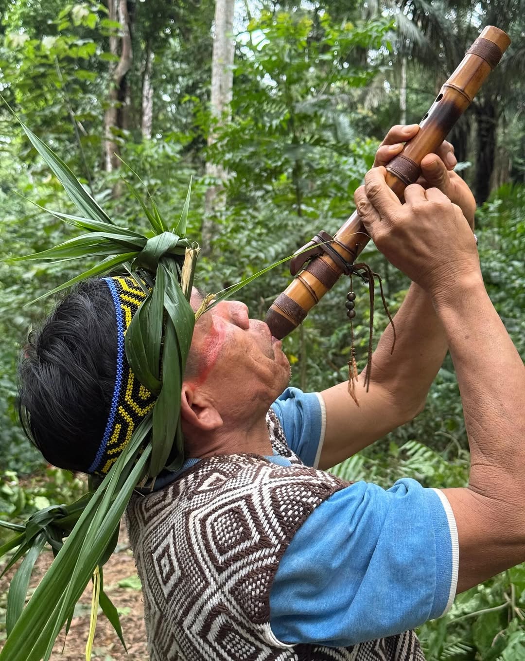 Elder Huni Kuin tribe member playing a traditional flute in the Amazon rainforest of Acre, Brazil
